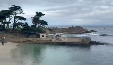 Search underway for missing CA swimmer after possible shark attack