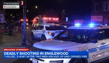 Chicago mass shooting kills 1, injures 3 on Halsted in Englewood: CPD