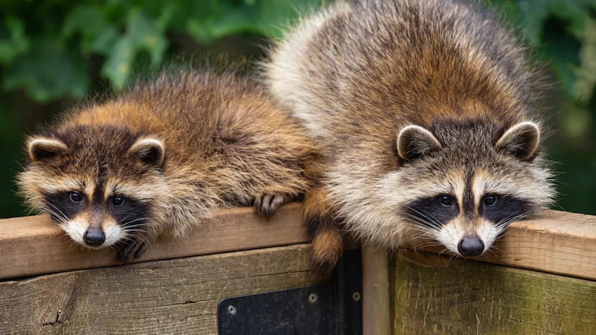 Yahoo lifestyle home