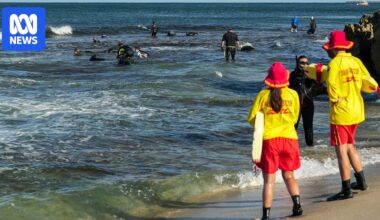 Severe heatwave cancels event, closes popular abalone fishing spot as season begins