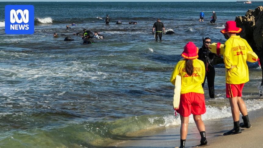 Severe heatwave cancels event, closes popular abalone fishing spot as season begins