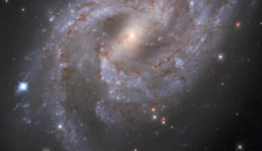 A twist in the tale: are scientists wrong about dark energy?