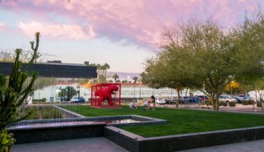 Shopping Spotlight: The Museum Store