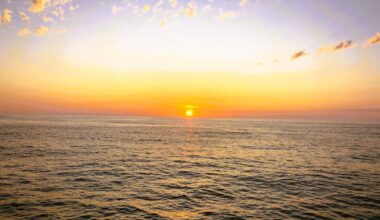 Council opts for measurable, timely projects over Climate Action Plan update