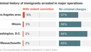 ICE Arrest Data Shows Many Immigrants With No Criminal Record