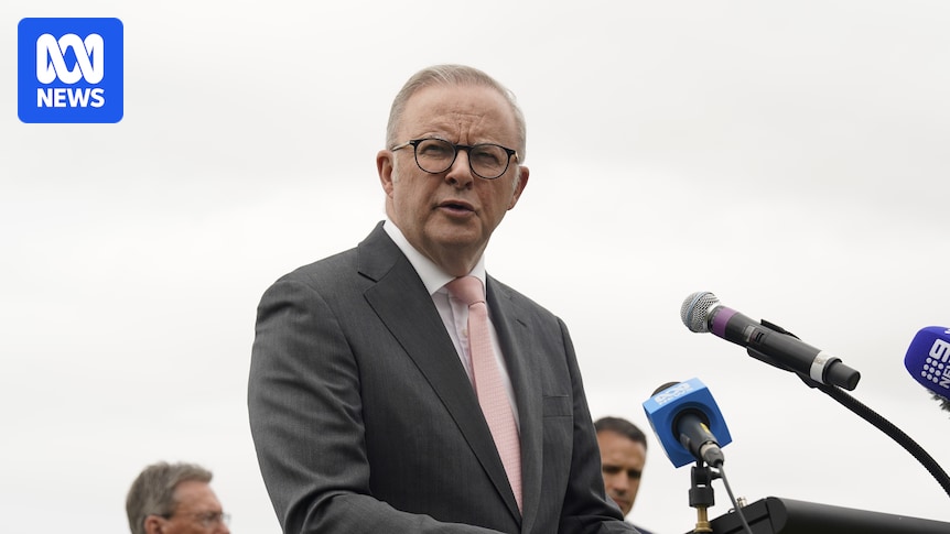 Anthony Albanese and Sussan Ley release Christmas messages in wake of Bondi attack