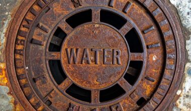 Water department to implement new water-use and meter-sizing method starting Jan. 1 : Maui Now