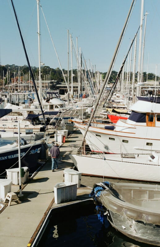 A marina filled with numerous sailboats and yachts docked closely together. A person walks along the pier beside the boats under a clear blue sky.