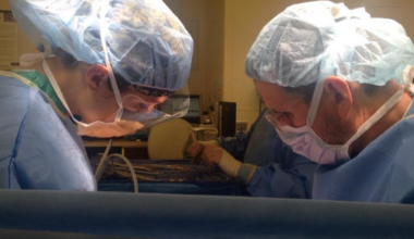 Surgeon Shares Shocking Reaction To Child-Free Choice