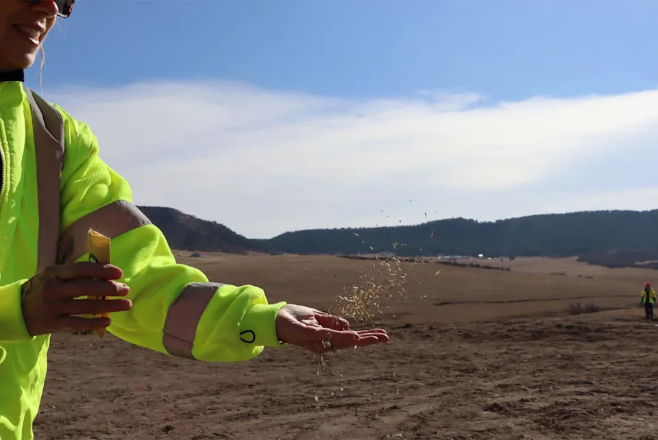 A worker scatters seeds.