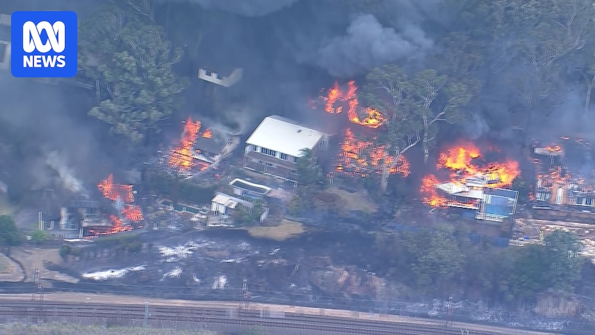 Up to 16 homes lost in Bulahdelah and Koolewong fires in NSW