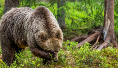 Yahoo lifestyle home