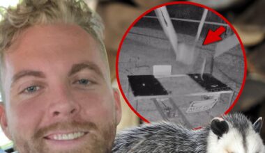 Content Creator Charles Ross Under Investigation For Opossum Catapult Video