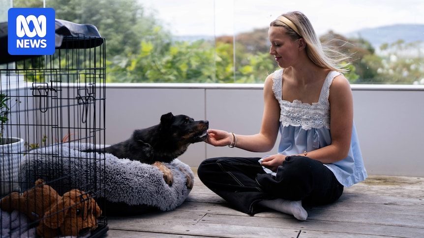 Hobart family reunited with dog nearly four years after it disappeared from home