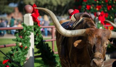 Fort Worth Holiday Events 2025 — Last-Minute Guide