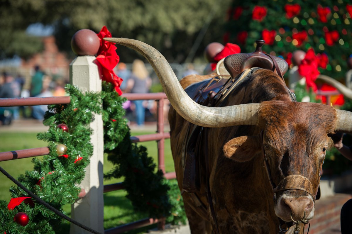 Fort Worth Holiday Events 2025 — Last-Minute Guide