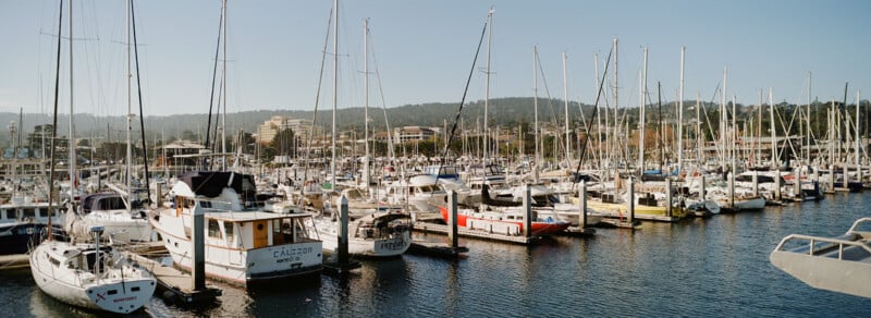 A marina filled with numerous sailboats and yachts docked at piers, with calm water and buildings and tree-covered hills visible in the background under a clear blue sky.