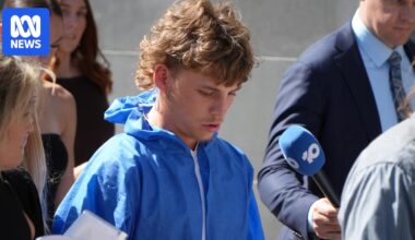 Man charged with assaulting Labor identity Tim Picton granted bail in Perth court