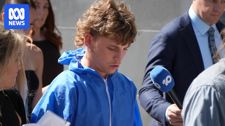 Man charged with assaulting Labor identity Tim Picton granted bail in Perth court