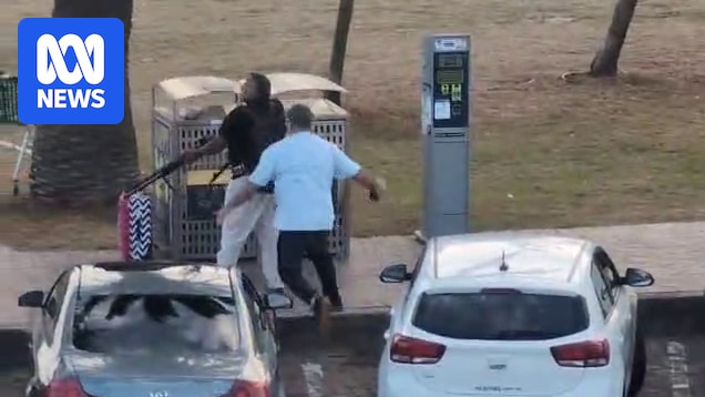 Bondi mass shooting shows how extreme danger can spark bravery from bystanders