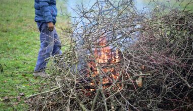 sticks in a pile burning