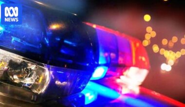 Four dead, five hospitalised after minivan crashes near Victoria–New South Wales border