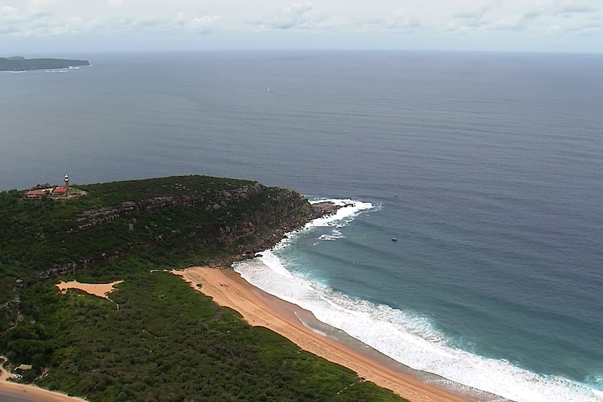 An aerial of a cloudy Palm Beach with water, a headland and sand.