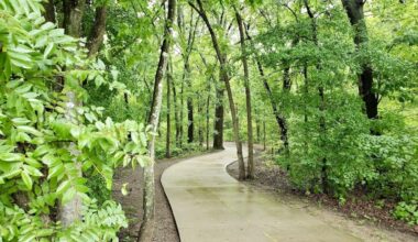 Walking path in woods