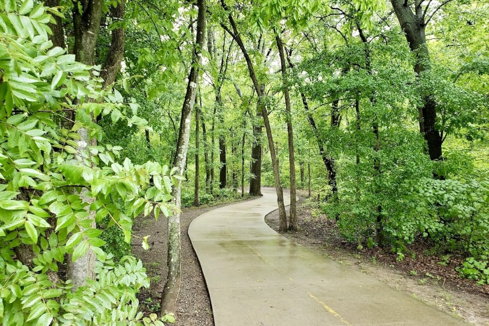 Walking path in woods