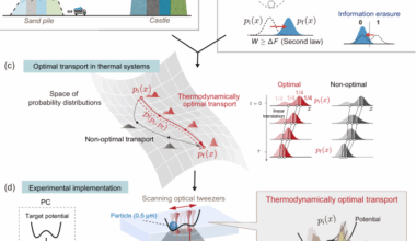 Experimentally achieving minimal dissipation via thermodynamically optimal transport
