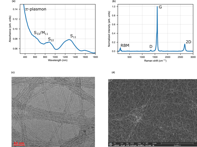 Ultrathin Single-Walled Carbon Nanotube Surface Wave Absorbers for Terahertz Dielectric Waveguides