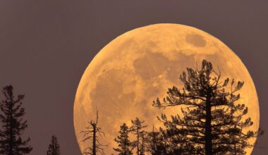 Thursday's Cold Moon Is the Last Supermoon of the Year. Here's How and When to View It