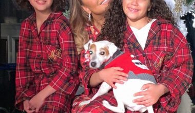 Yahoo entertainment home