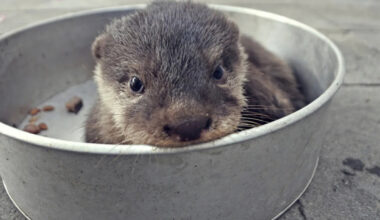 Yahoo lifestyle home