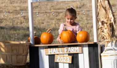 Fall in North Texas was one of the hottest on record. Here’s how temperatures stacked up