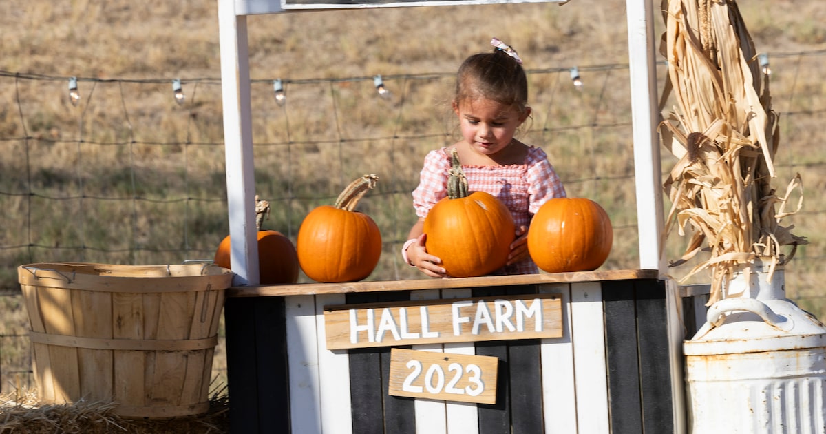 Fall in North Texas was one of the hottest on record. Here’s how temperatures stacked up