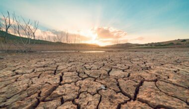 Enough fresh water is lost from continents each year to meet the needs of 280 million people. Here's how we can combat that.