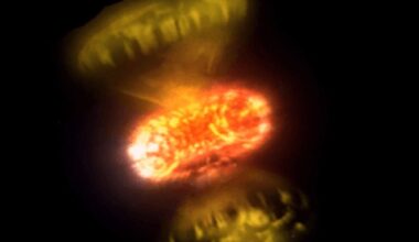 This artist's illustration shows some of the unexpected complexity in nova explosions. They occur when matter accumulates on the surface of a white dwarf and eventually triggers a sudden thermonuclear explosion. New direct images of the explosions proves that they're more complex than previously thought. Image Credit: Georgia State University