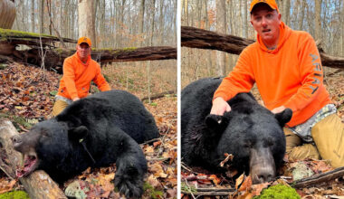 Yahoo lifestyle home