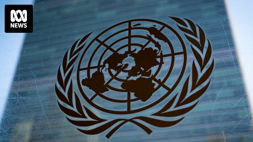 United Nations delegation warns of Australia's treatment of prisoners, detainees and breach in human rights