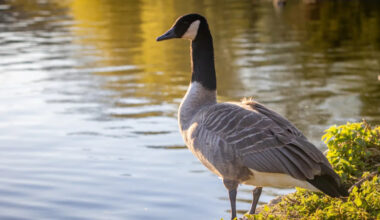 Yahoo lifestyle home