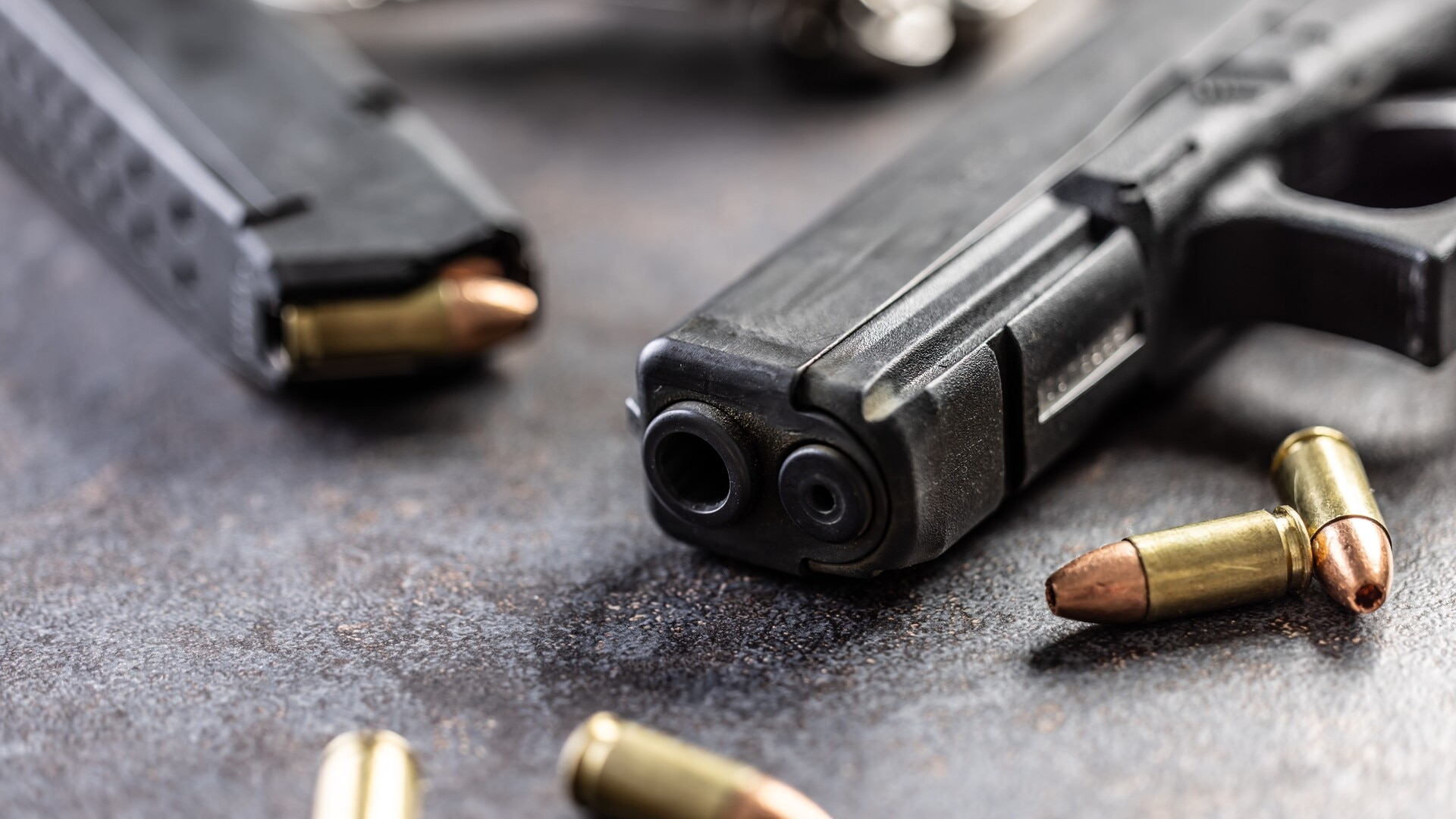 ‘Alarm bells’: Bondi gunman’s firearm licence raises ‘fundamental issues’