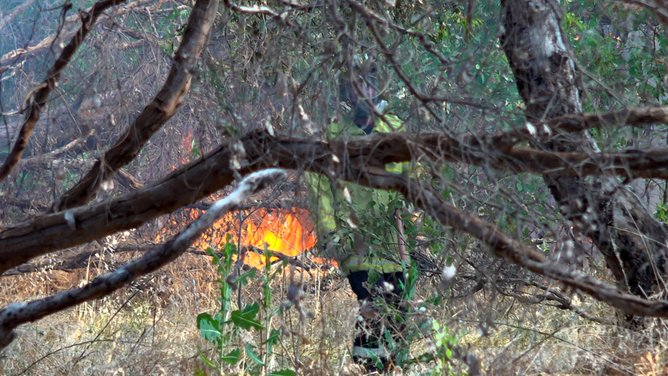 A bushfire at Herdsman Lake in Osborne Park on Saturday.