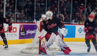 Grand Rapids Griffins | Paint the Town Red