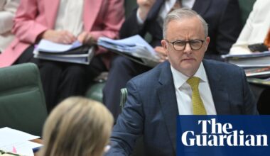 From inflation to infighting, the six factors that will shape Australian politics in 2026 | Australian politics