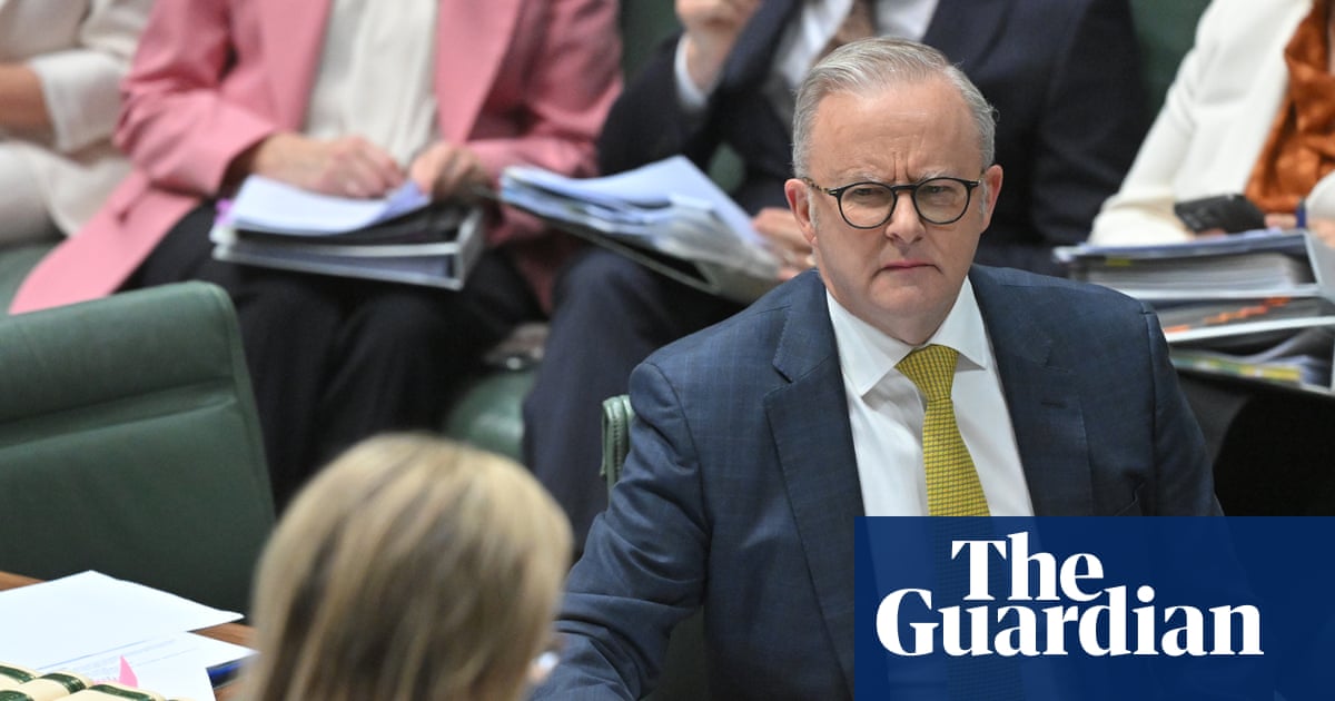 From inflation to infighting, the six factors that will shape Australian politics in 2026 | Australian politics