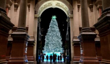 Philadelphia's Holiday Tree as see through the northern archway at City Hall on Dec. 12, 2024