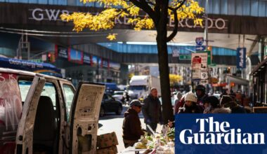 ‘There’s power in numbers’: New Yorkers are banding together to protect street vendors from ICE | ICE (US Immigration and Customs Enforcement)
