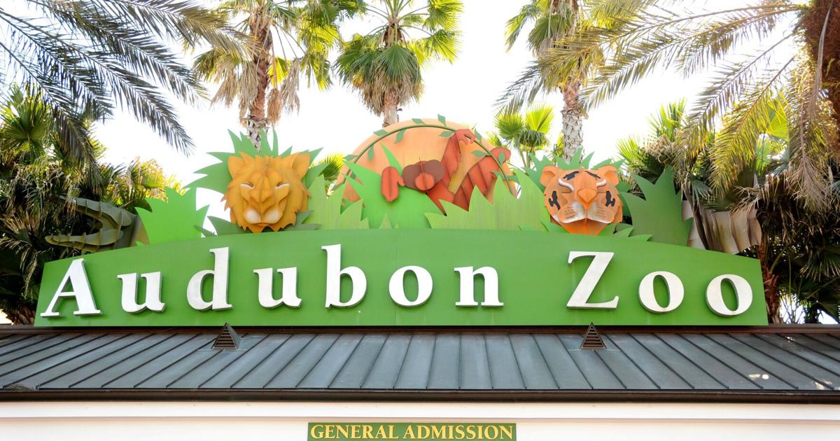 New Orleans Audubon Zoo defends membership price hikes | Business News