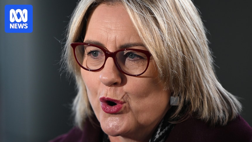 Victorian Premier Jacinta Allan reveals her husband was caught drink driving